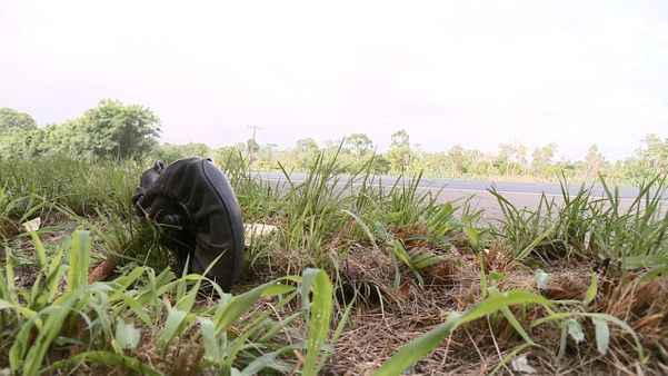 Idoso morre em acidente na BR 101, em Linhares