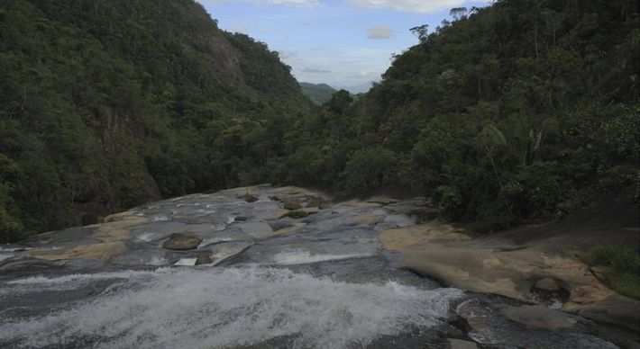 Estudo de pesquisadores da Ufes foi publicado no site internacional Neotropical Biology and Conservation