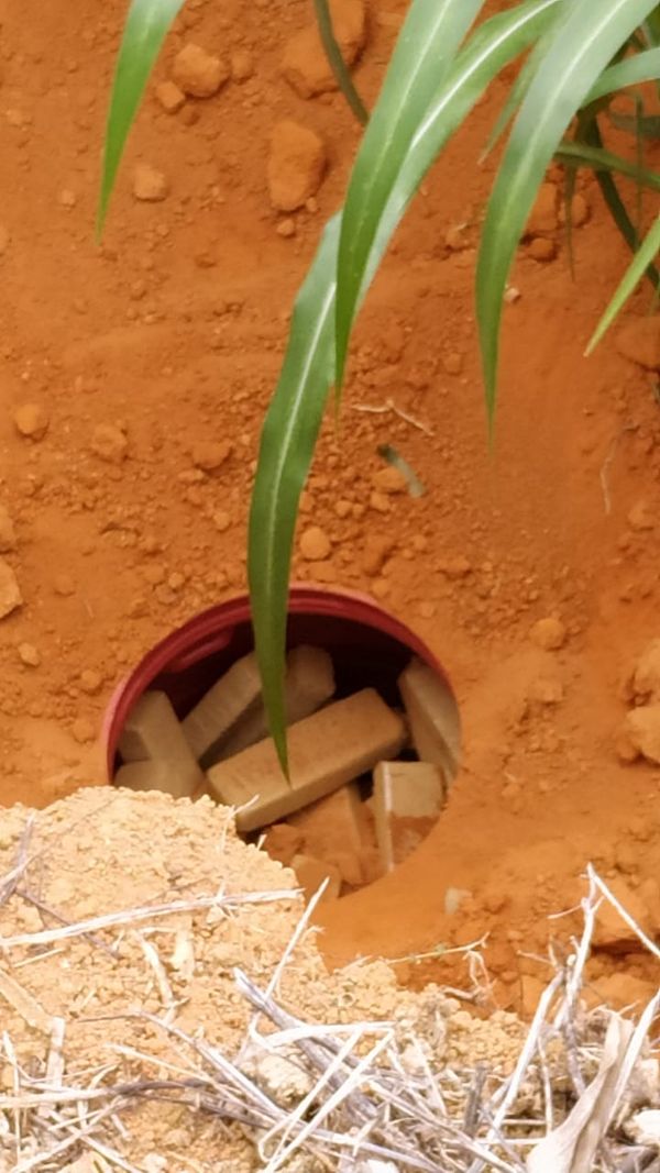 A Polícia Civil, por meio do Departamento Especializado de Narcóticos (Denarc), prendeu dois suspeitos e apreendeu aproximadamente 50 kg de maconha, além de outros materiais