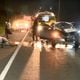 Imagem - Cavalo invade pista, destrói carro e morre atropelado na Rodovia do Sol