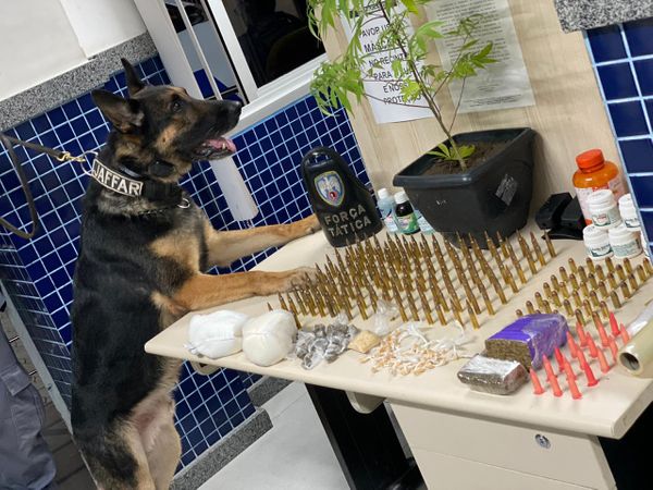 Drogas e munições apreendidas ao lado do cão farejador que as encontrou