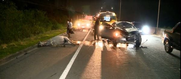 Carro ficou completamente destruído após bater em cavalo na Rodovia do Sol, em Vila Velha 