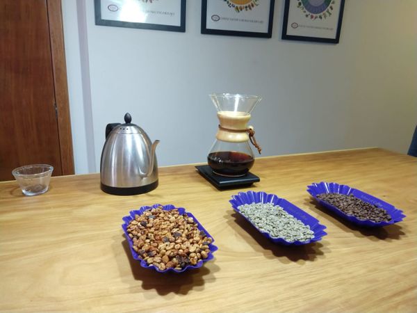 A história do café arábica do ES eleito o melhor do Brasil por Bruna Hemerly