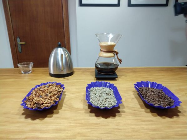 A história do café arábica do ES eleito o melhor do Brasil por Bruna Hemerly