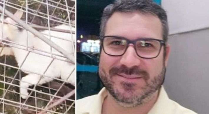 Victor Brandão Machado chegou a ficar preso, mas foi liberado depois de alguns dias e responde em liberdade. O Ministério Público requer que o denunciado seja condenado na Lei de Crimes Ambientais