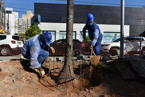 Construção de ciclovia deixa trânsito lento em Santa Lúcia, Vitória por Fernando Madeira