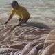 Imagem - Na puxada de rede: mais de 2 toneladas de pescada amarela, em Itapemirim
