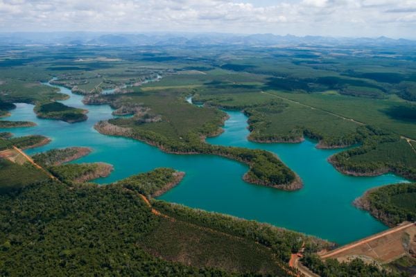 Com o aumento da base florestal no Espírito Santo, a expectativa da Suzano é abrir entre 150 e 160 novos empregos