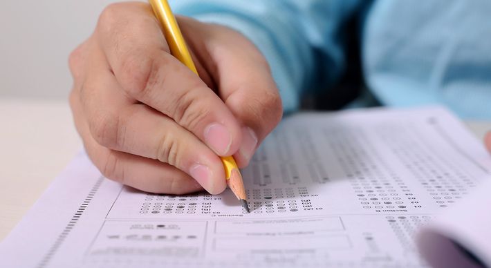 As prefeituras de Ibiraçu, Santa Teresa, Sooretama e Vitória têm postos para contrato temporário; há ainda oportunidade para pessoa com deficiência na Caixa Econômica Federal