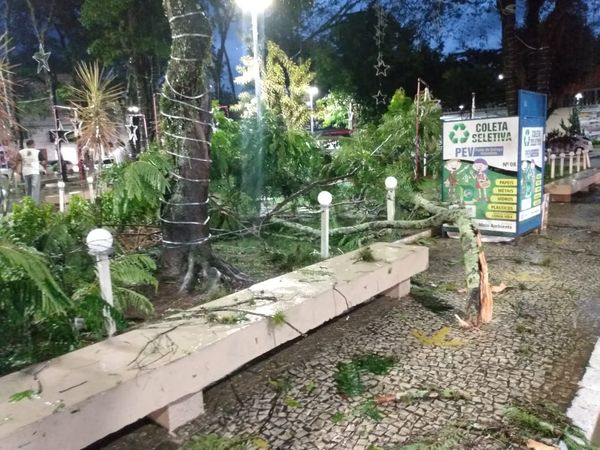 Galhos caíram sobre estrutura de natal em praça