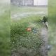 Imagem - Moradora registra chuva de granizo em Aracê, Domingos Martins