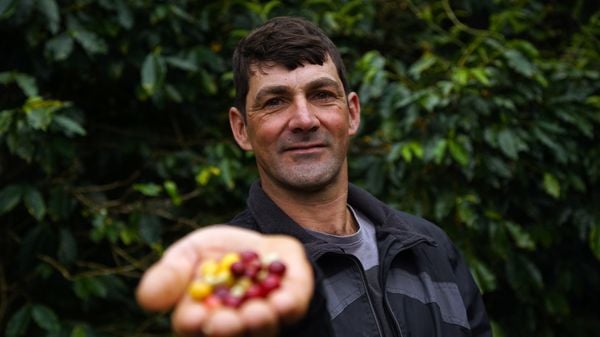 O produtor rural José Carlos Velten, de Marechal Floriano, é o vencedor do Prêmio de Qualidade Realcafé Reserva de 2017. Neste ano, ele está entre os 20 finalistas