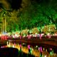 Imagem - Fotojornalismo: o brilho do Natal nas ruas de Vitória e Vila Velha