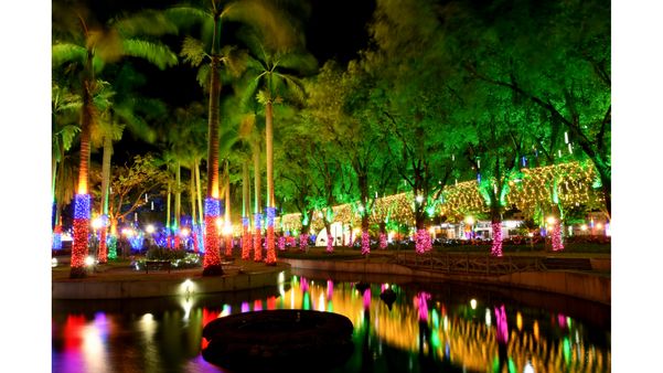 Decoração natalina no Parque Moscoso, em Vitória por Fernando Madeira