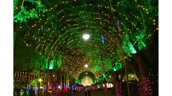 Decoração natalina no Parque Moscoso, em Vitória