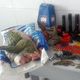 Imagem - PM apreende carne de jacaré,  material para caça e armas em Linhares