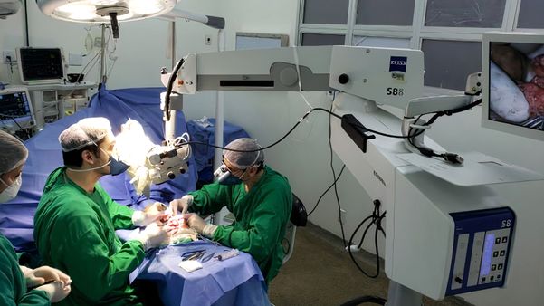 Cirurgia de reimplante feita por médicos da Cootes