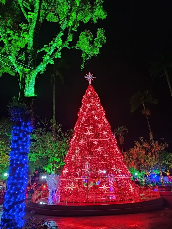 VILA NATALINA  Decoração de Natal 2021 🌲 