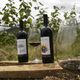 Imagem - Apenas 3 mil garrafas: começa a ser vendido um dos melhores vinhos do ES