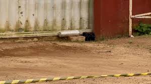 Material estava no portão da casa por Reprodução/ TV Gazeta