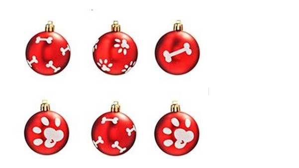 Vitrine de presentes de Natal pra quem ama pet