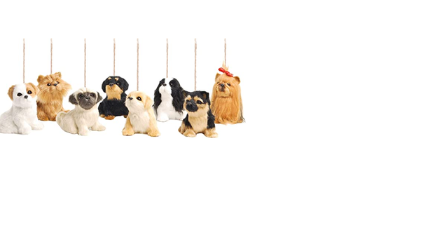Vitrine de presentes de Natal pra quem ama pets