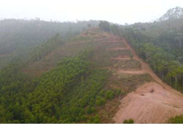Áreas desmatadas em Santa Teresa por construções clandestinas e irregulares. O problema acontece em mais de 100 propriedades, em diversas comunidades da zona rural de Santa Teresa
