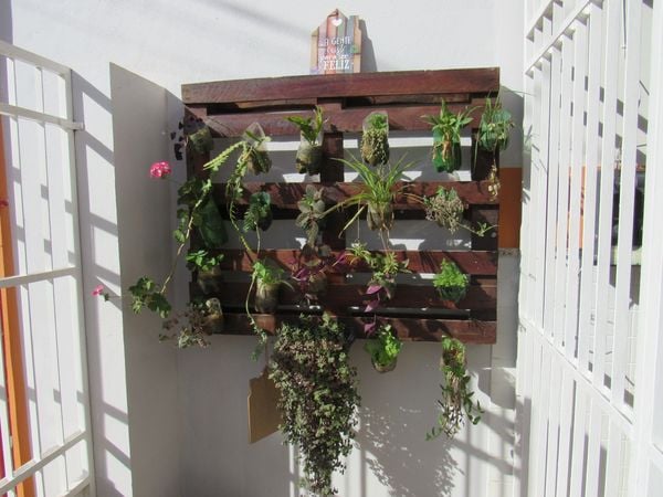 Jardim vertical