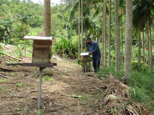 Sr. Zé Henrique, cultivador de abelhas, ganhou o Prêmio Biguá de Sustentabilidade na categoria Produtor Rural.