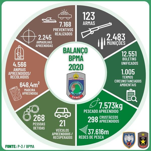 Balanço de 2020 da atuação da Polícia Militar Ambiental no ES