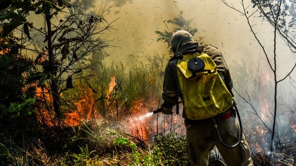 Bombeiros combatem incêndio em vegetação na região dos bairros Fradinhos e Romão, Vitória-ES