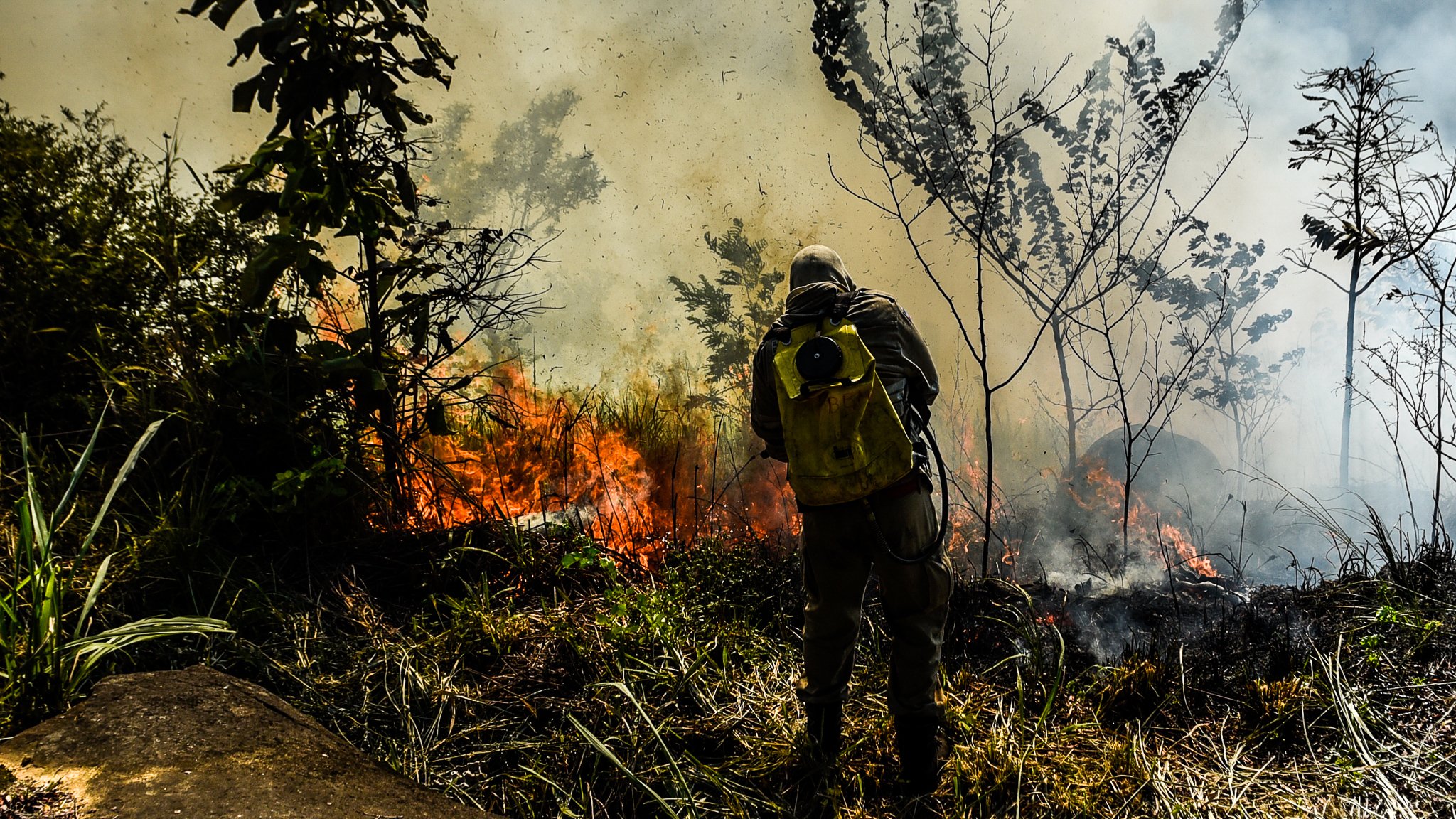 Bombeiros combatem incêndio em vegetação na região dos bairros Fradinhos e Romão, Vitória-ES