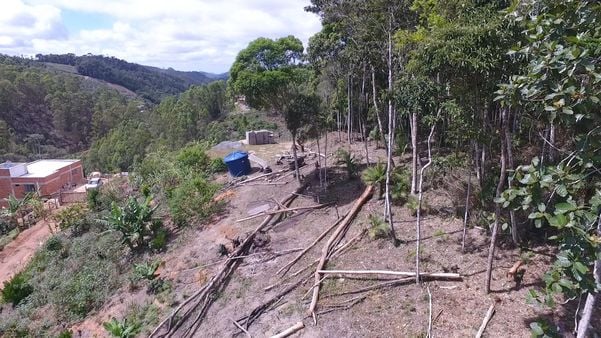 Imagens de drone mostram desmatamento em Santa Teresa por Luciney Araújo