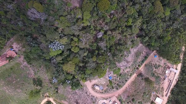 Imagens de drone mostram desmatamento em Santa Teresa por Luciney Araújo