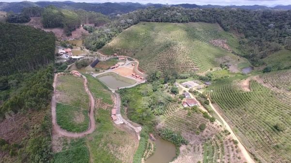 Imagens de drone mostram desmatamento em Santa Teresa por Luciney Araújo
