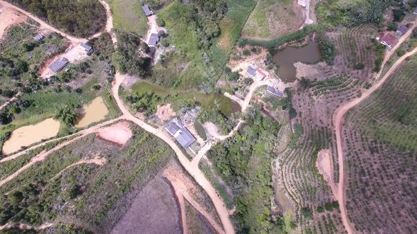 Imagens de drone mostram desmatamento em Santa Teresa por Luciney Araújo