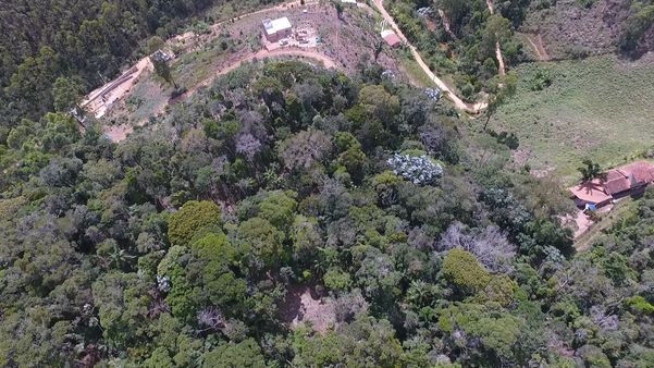 Imagens de drone mostram desmatamento em Santa Teresa por Luciney Araújo