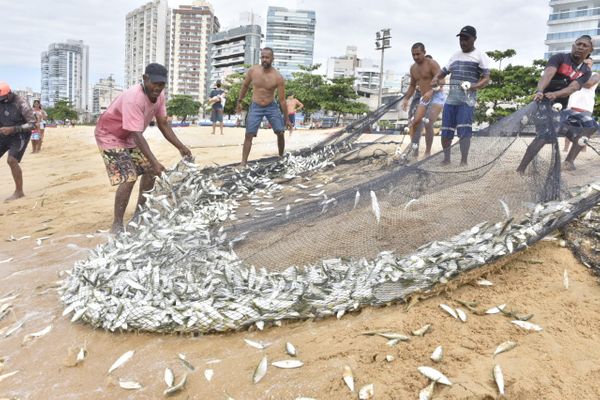 Puxada de rede na Praia de Itapuã, em Vila Velha por Ricardo Medeiros