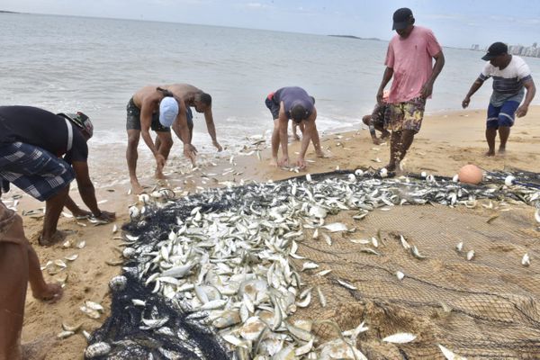 Puxada de rede na Praia de Itapuã, em Vila Velha por Ricardo Medeiros