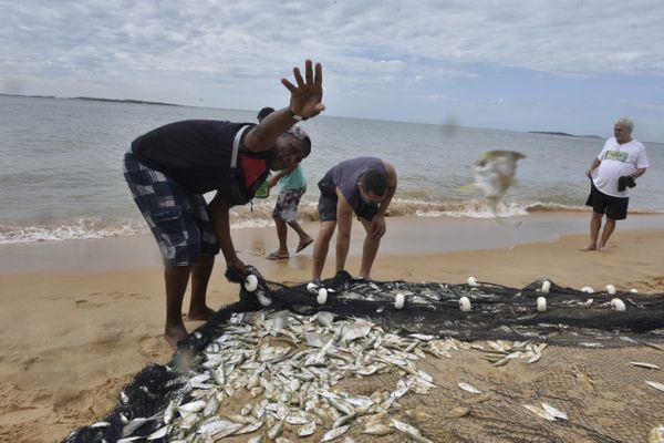 Puxada de rede na Praia de Itapuã, em Vila Velha por Ricardo Medeiros