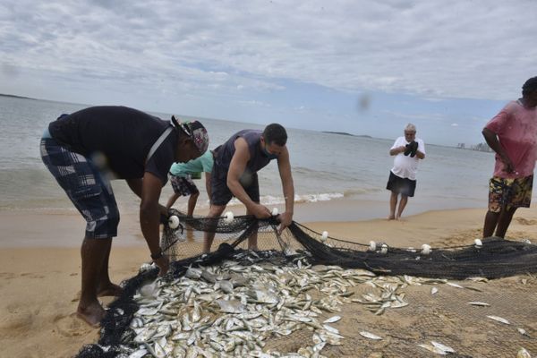 Puxada de rede na Praia de Itapuã, em Vila Velha por Ricardo Medeiros