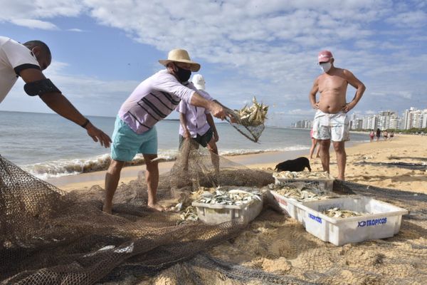Puxada de rede na Praia de Itapuã, em Vila Velha por Ricardo Medeiros