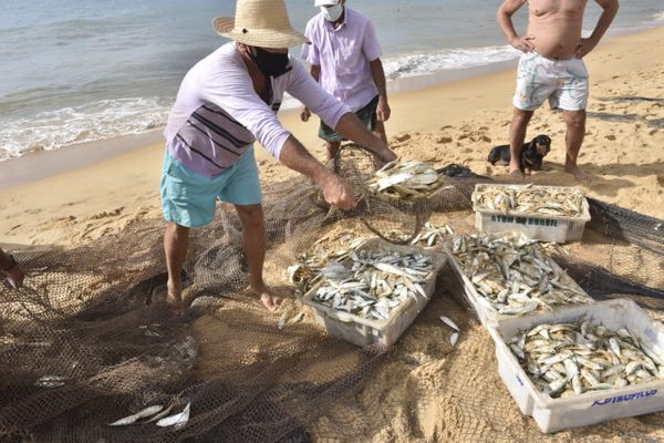 Puxada de rede na Praia de Itapuã, em Vila Velha por Ricardo Medeiros
