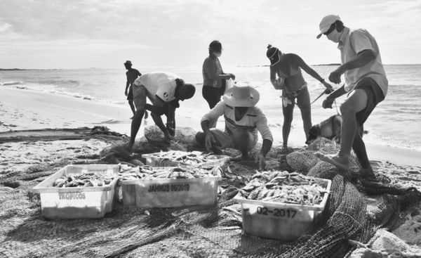 Puxada de rede na Praia de Itapuã, em Vila Velha por Ricardo Medeiros