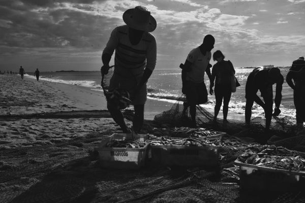 Puxada de rede na Praia de Itapuã, em Vila Velha por Ricardo Medeiros