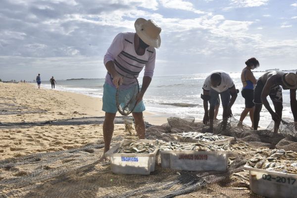 Puxada de rede na Praia de Itapuã, em Vila Velha por Ricardo Medeiros