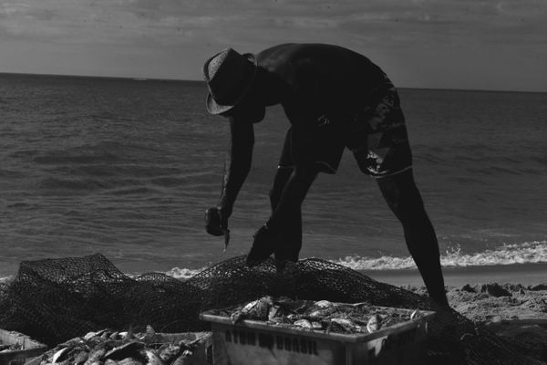 Puxada de rede na Praia de Itapuã, em Vila Velha por Ricardo Medeiros