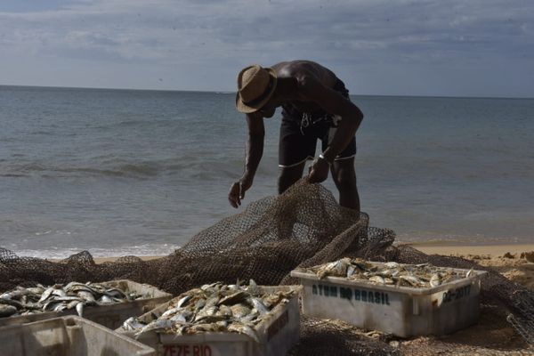 Puxada de rede na Praia de Itapuã, em Vila Velha por Ricardo Medeiros