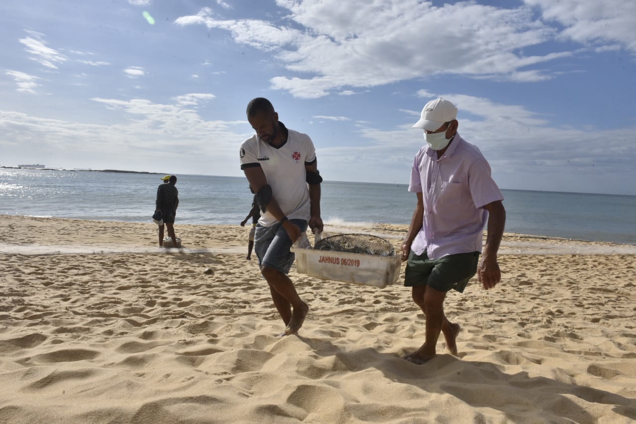 Puxada de rede na Praia de Itapuã, em Vila Velha