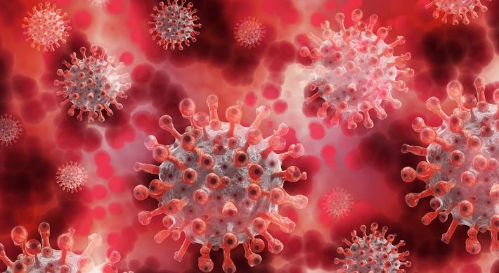 Estudos também apontam que pacientes assintomáticos são mais suscetíveis a uma nova contaminação pelo coronavírus, alguns com quadro grave